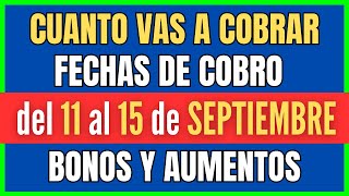 🍀 CUÁNDO COBRO ANSES ❗️Fechas Pago 11 a 15 de Septiembre 2023 Jubilados Pensionados AUH AUE SUAF [upl. by Anikal157]