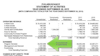 YPTC Training Videos Unique Elements of Nonprofit Financial Reports [upl. by Ulphiah]