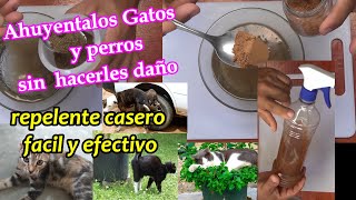 Cómo Ahuyentar Gatos y perros De Tu Jardín Huerto Casa carro FÁCIL ECONÓMICO y SIN LASTIMARLOS [upl. by Nothgierc]