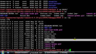 Apache Tomcat Balancing Tutorial 36 StickySessions [upl. by Damales]