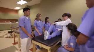 Learn About Our Physical Therapist Assistant Program  Concorde Career College [upl. by Lucier]