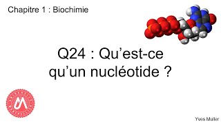 Chapitre 1  Biochimie  Q24  Questce quun nucléotide [upl. by Nahtannoj560]