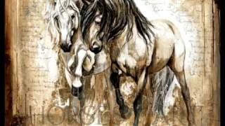 Caballos Elise Genest  chango Spaziuk Suite Nordeste [upl. by Oflodur]