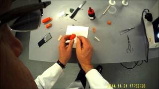 Preparing thin leaf sections for the microscope [upl. by Gherardi]