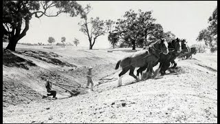 Fossils 4x4 Adventures Trip through the Wimmera and Mallee [upl. by Yehs]