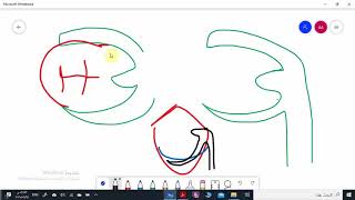 circumferential clasps part 1 [upl. by Yriek]