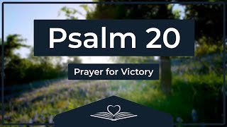 Psalm 20 NRSV  Prayer for Victory Audio Bible [upl. by Benedic]