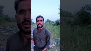 honey bee Farming in Pakistan  honey Farming Beekeeping  honey Farming Guide [upl. by Cenac]