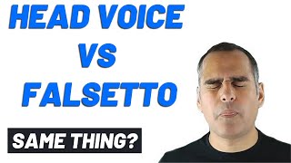 Falsetto vs Head Voice  Can you hear the difference [upl. by Anasiul]