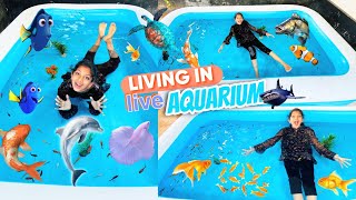 Living In Aquarium🐠 മീൻ കടിച്ചു🐬 ആദ്യമായി 🐟minsha [upl. by Sehcaep20]