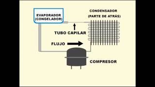 Como funciona un refrigerador [upl. by Culliton]