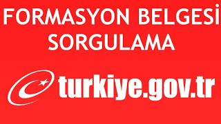 EDevlet Formasyon Belgesi Sorgulama Nasıl Yapılır [upl. by Youlton]