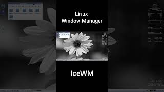 IceWM  Linux Window Manager [upl. by Jaquelin]