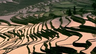 RIZIERES en TERRASSES Yuanyang Rice Terraces YUNNAN  CHINE [upl. by Sisson656]