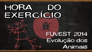 Evolução dos animais  FUVEST 2014 [upl. by Aserehtairam636]