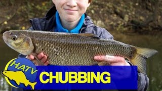 CHUB FISHING The Test Blackwater  Hampshire Angling TV [upl. by Rehpotsirhk121]