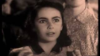 Elizabeth Taylor Movie Montage [upl. by Ramiah]