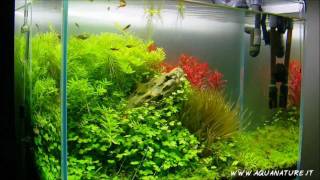 Aqua Tutorial  Come allestire un acquario ELOS parte 2 [upl. by Aneekas]