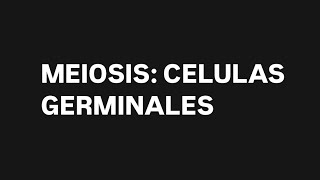 GENETICA MEIOSIS  CELULAS GERMINALES [upl. by Prissy]