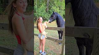 Skys first time meeting a horse [upl. by Way]