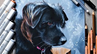 Realistic dog drawing Copic marker  Luminance ANIMAL ART [upl. by Hamnet]