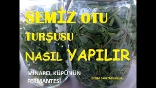 SEMİZ OTU TURŞU TARİFİ [upl. by Ruenhs]