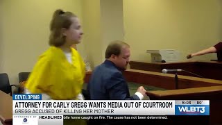 Carly Gregg court hearing [upl. by Torrell]