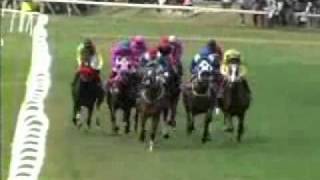 2011 Tanglewoods Stakes  Bouncebak [upl. by Limay524]