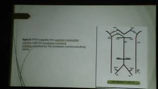 Lecture 1 Radiological Anatomy of the Cerebral Vessels [upl. by Ecadnac]