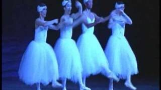 LES BALLET GRANDIVAS MEN IN TUTUS [upl. by Telocin]