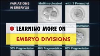 ✅ Embryo Divisions [upl. by Matti21]