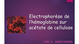 Électrophorèse de lhémoglobine sur acétate de cellulose [upl. by Meneau]