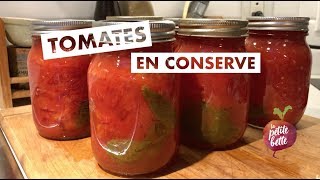 🍅 CONSERVES DE TOMATES MAISON 🍅 Tuto technique conservation [upl. by Rehtaeh557]