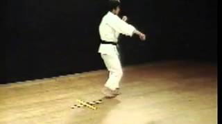 Heian SandanHirokazu KanazawaKata Shotokan SKIF [upl. by Asinla596]