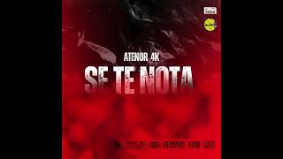 Atenor 4k Se Te Notaaudios oficial [upl. by Revolc143]