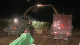 Chopping Corn Silage and Filling the Silage Pit 2022 [upl. by Eldwin]