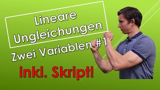 Lösen von Linearen Ungleichungen in zwei Variablen  Theorie amp Beispiele mit SKRIPT [upl. by Dielu]