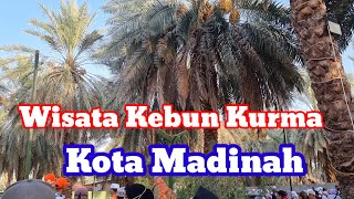 Wisata Kebun Kurma Madinah Terbaru [upl. by Etnaihc]