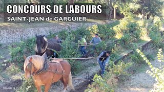 CONCOURS DE LABOURS SAINTJEAN DE GARGUIER septembre 2024 [upl. by Brittni962]