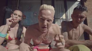 DIE ANTWOORD  BABYS ON FIRE OFFICIAL [upl. by Fidelas]