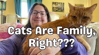 The BIG Problem with “Cats Are Family” [upl. by Eceirehs]