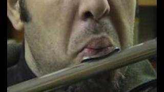 2Flutist and embouchure dystonia [upl. by Tigirb]