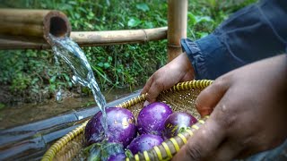 Panen Terong di Kebun Depan Rumah  Cara masak terong yang enak  Hidup di Desa [upl. by Jamilla108]