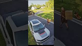 Giant Mastiff VS UPS Guy [upl. by Marvella]