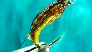 Tying the McPhail Caddis Pupa by Davie McPhail HD [upl. by Maynord]