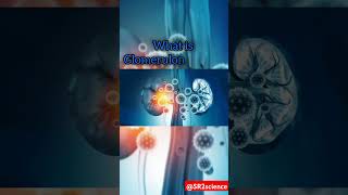 Glomerulonephritis  kidneydisease sr2science biology facts ytshorts knowledge workhard [upl. by Bolger918]