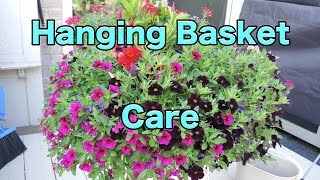 Hanging Basket Care  HowTo Maintain your Hanging Baskets  Pruning [upl. by Adorl]