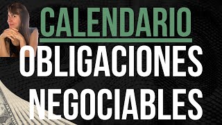 OBLIGACIONES NEGOCIABLES ingresospasivos en dolares CALENDARIO 2023 [upl. by Attekal]