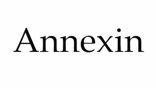 How to Pronounce Annexin [upl. by Kant]