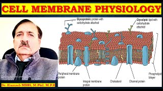 Human CELL Membrane PHYSIOLOGY Lectures by Dr Alamzeb [upl. by Had]